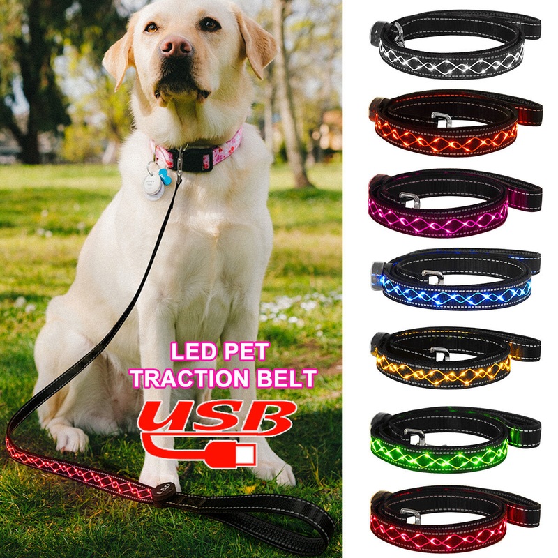 Dog LED Leash Pet Supplies|Color Red