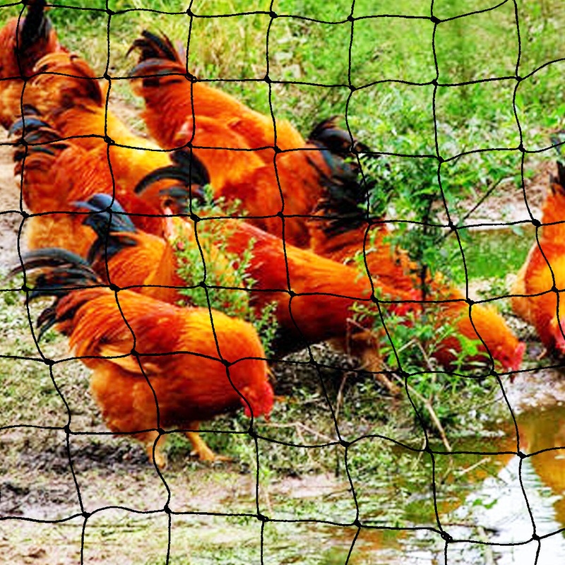 Fruit Net Flower Vegetables Plants Protect Cover Nylon Bird Net Outdoor