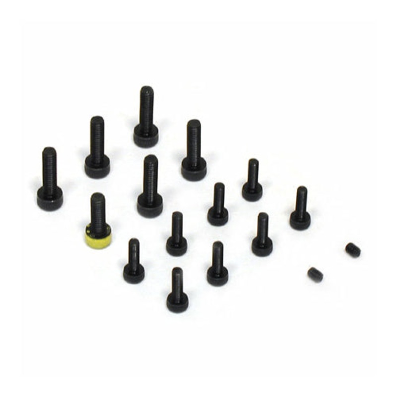 SAI300T31 – Crankcase Screw Set SAI300T31