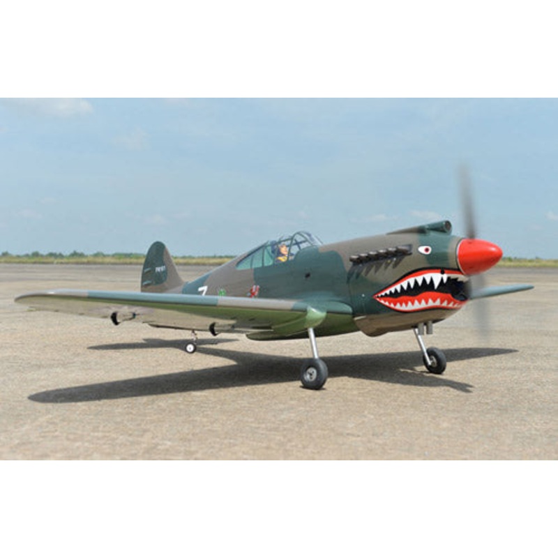 Black Horse P40C Tomahawk 60cc ARTF A-BH161