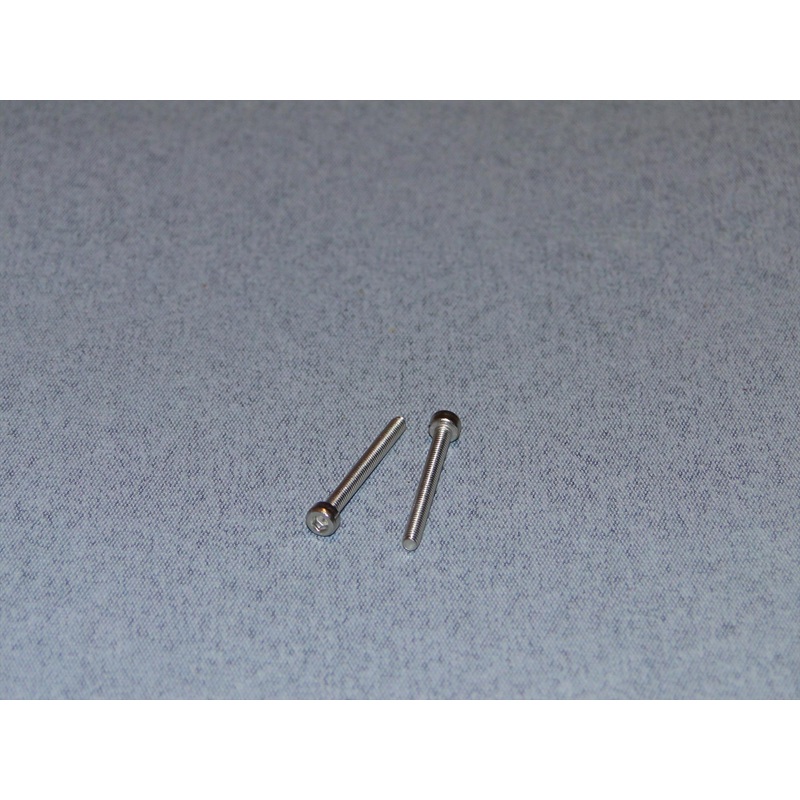 Radio Active Stainless Steel Socket Head Screw M2.5x25mm (Pk2) SCR01/25M2-5