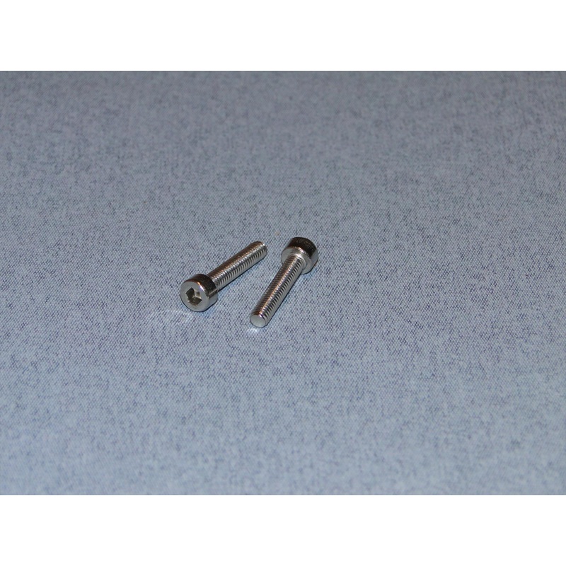 Radio Active Stainless Steel Socket Head Screw M4x20mm (Pk2) SCR01/20M4