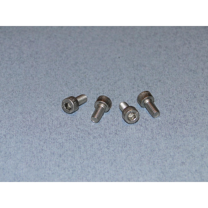 Radio Active Stainless Steel Socket Head Screw M5x10mm (Pk4) SCR01/10M5