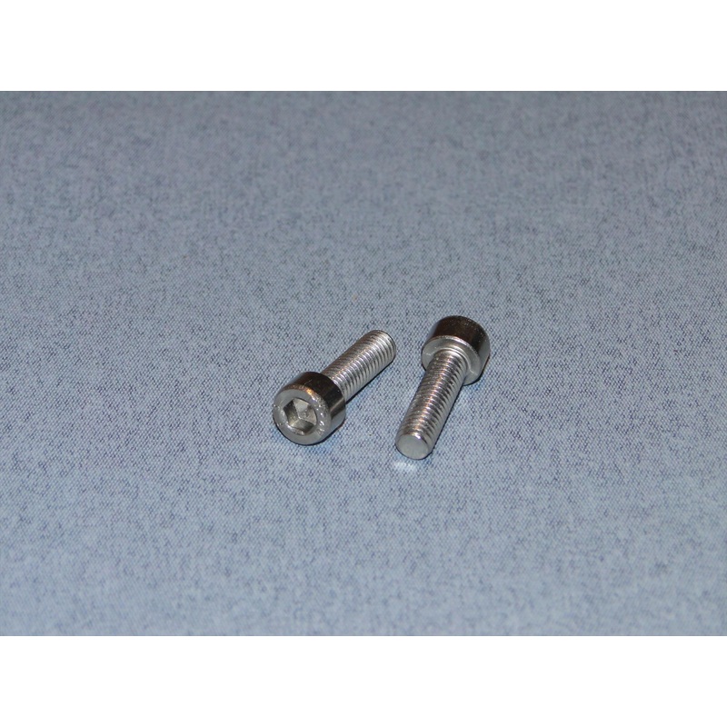 Radio Active Stainless Steel Socket Head Screw M6x20mm (Pk2) SCR01/20M6