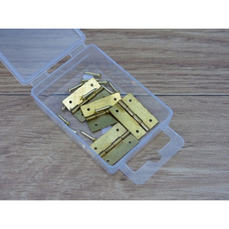 Expo Tools 4x25mm Hinges With Pins (4 Pack) A30043